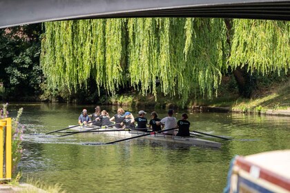 ケンブリッジで "The Boys in the Boat "のような漕ぎを体験！