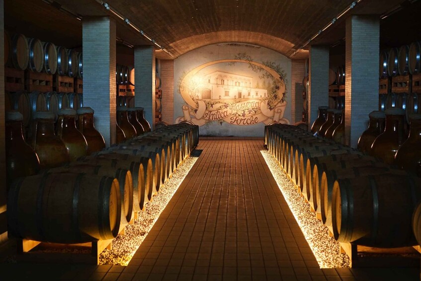 Wine Tour "The pearls of Manduria"