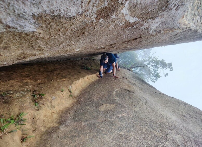 Picture 2 for Activity Bico do Papagaio/Parrto´s Beak: Fun hike in Tijuca´s Forest