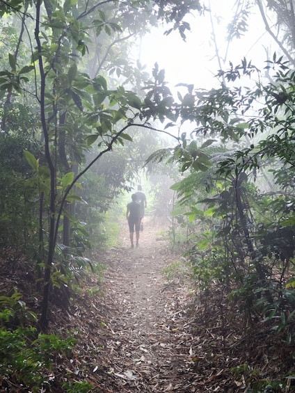 Picture 3 for Activity Bico do Papagaio/Parrto´s Beak: Fun hike in Tijuca´s Forest