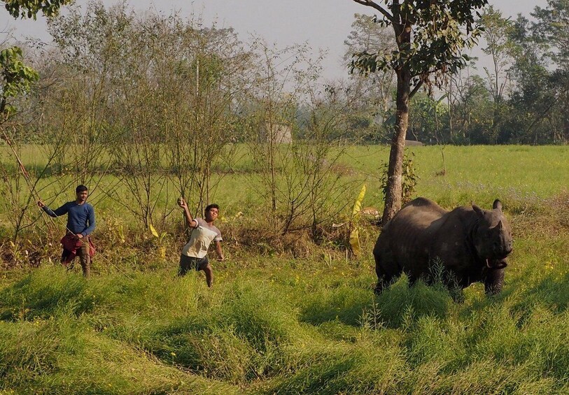 Picture 3 for Activity 2 Days Chitwan Safari Tour