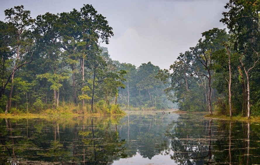 Picture 1 for Activity 2 Days Chitwan Safari Tour