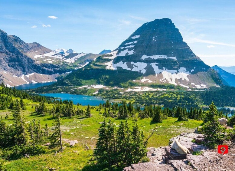 Picture 4 for Activity Glacier National Park: Scenic Drive Tour Through the Park