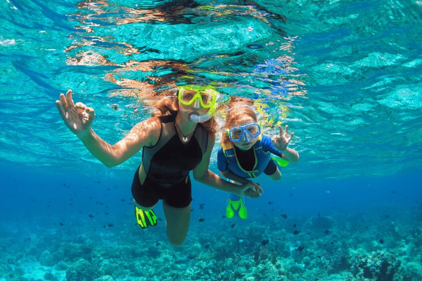 Picture 1 for Activity From Huatulco: Snorkel and La Entrega Beach Visit