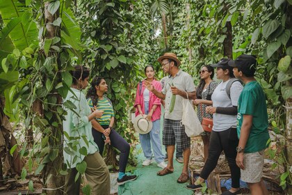 A Culinary Journey with locals in Chorao Island