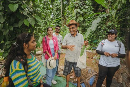 Cook and Eat with a Local Family in Goa