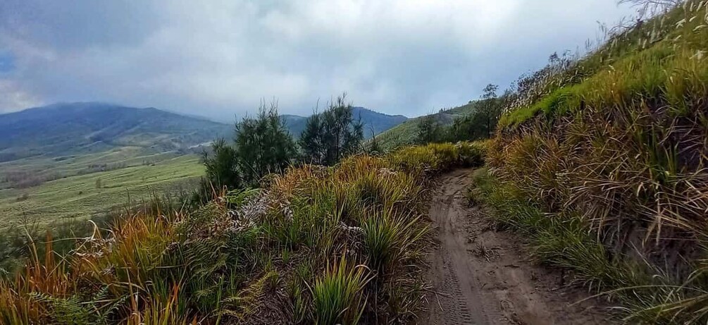 Picture 13 for Activity Guided Bromo Dirt Bike Tour from Malang or Surabaya