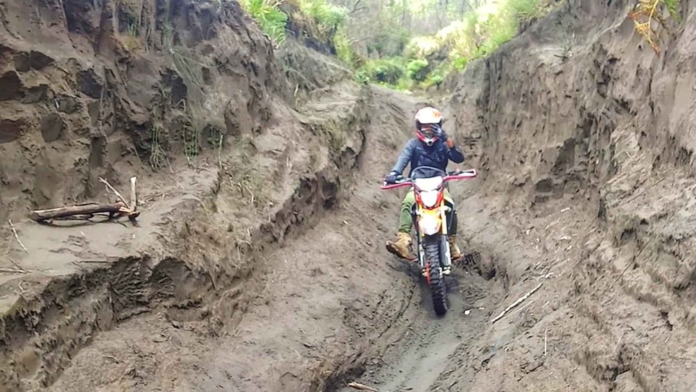 Picture 4 for Activity Guided Bromo Dirt Bike Tour from Malang or Surabaya