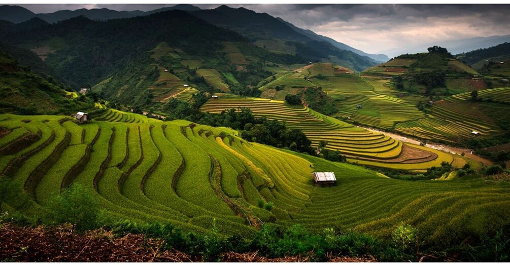 Picture 8 for Activity From Sapa: Terrace Fields and Local Villages Trek with Lunch