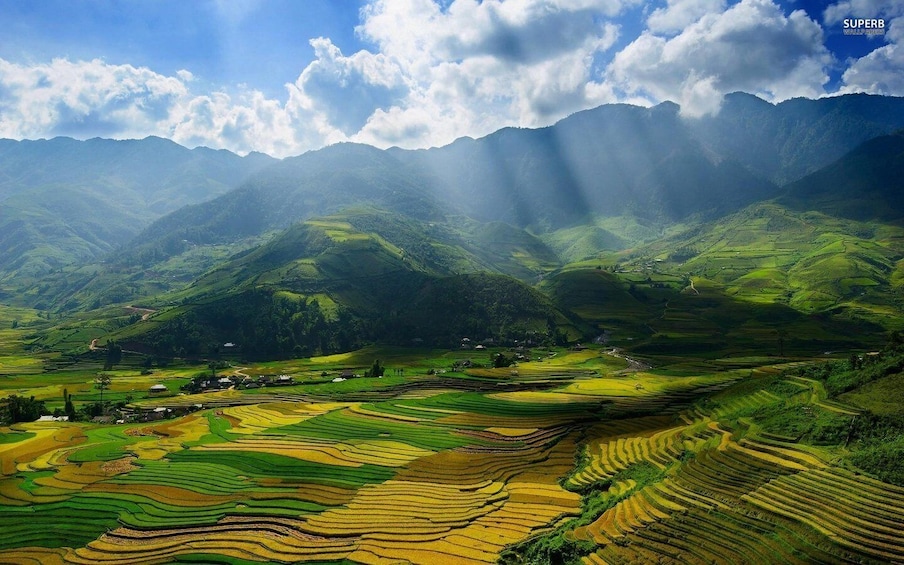 Picture 3 for Activity From Sapa: Terrace Fields and Local Villages Trek with Lunch