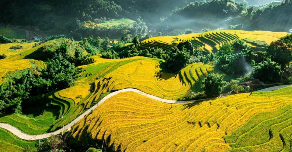 Picture 7 for Activity From Sapa: Terrace Fields and Local Villages Trek with Lunch