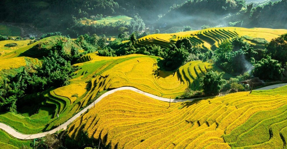 Picture 7 for Activity From Sapa: Terrace Fields and Local Villages Trek with Lunch