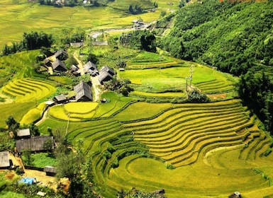 From Sapa: Terrace Fields and Local Villages Trek with Lunch