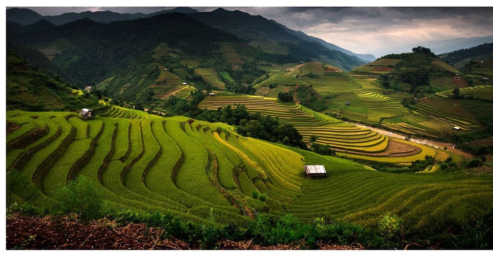 Picture 8 for Activity From Sapa: Terrace Fields and Local Villages Trek with Lunch