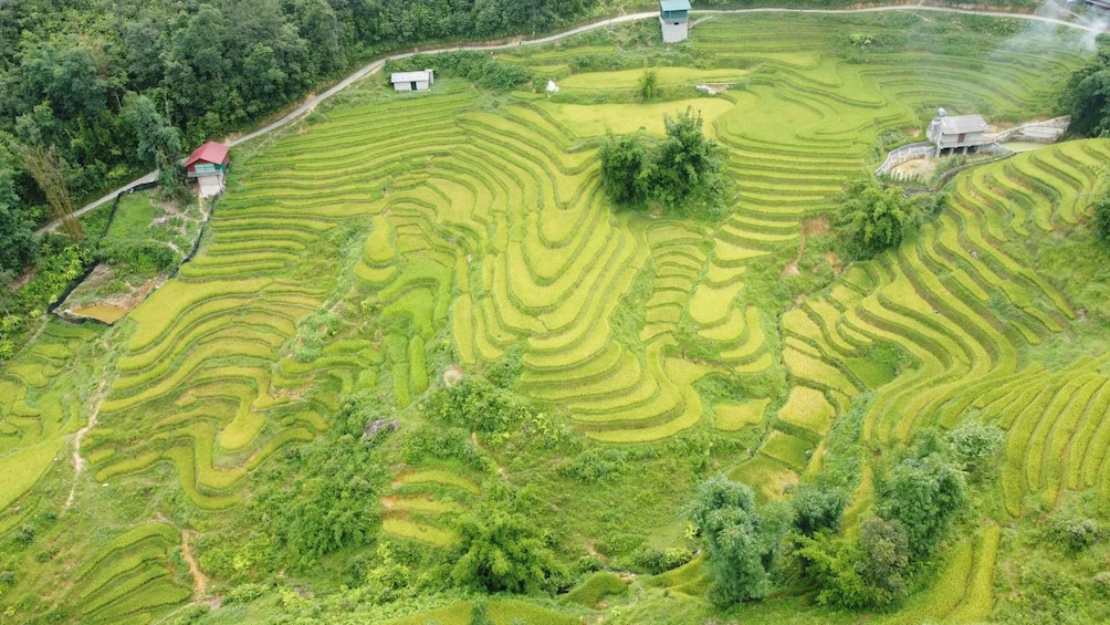 Picture 6 for Activity From Sapa: Terrace Fields and Local Villages Trek with Lunch