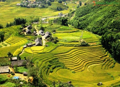 From Sapa: Terrace Fields and Local Villages Trek with Lunch