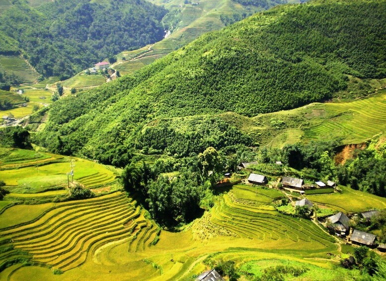 Picture 2 for Activity From Sapa: Terrace Fields and Local Villages Trek with Lunch