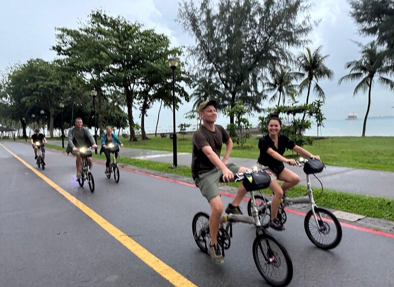 Picture 13 for Activity Singapore: Katong District Food and Bike Tour