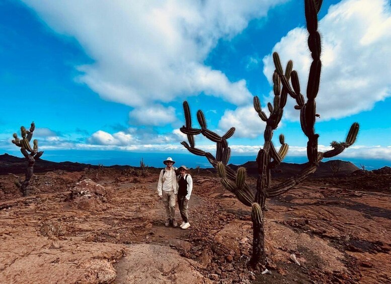 Picture 4 for Activity Galapagos horse riding the ridges of Sierra Negra Volcano