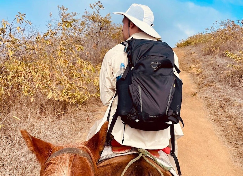 Picture 3 for Activity Galapagos horse riding the ridges of Sierra Negra Volcano