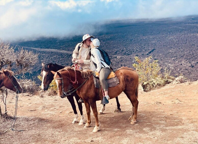 Picture 1 for Activity Galapagos horse riding the ridges of Sierra Negra Volcano