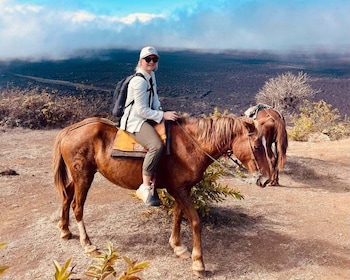 Galapagos horse riding the ridges of Sierra Negra Volcano