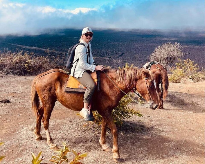 Galapagos horse riding the ridges of Sierra Negra Volcano