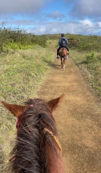 Picture 3 for Activity Galapagos horse riding the ridges of Sierra Negra Volcano