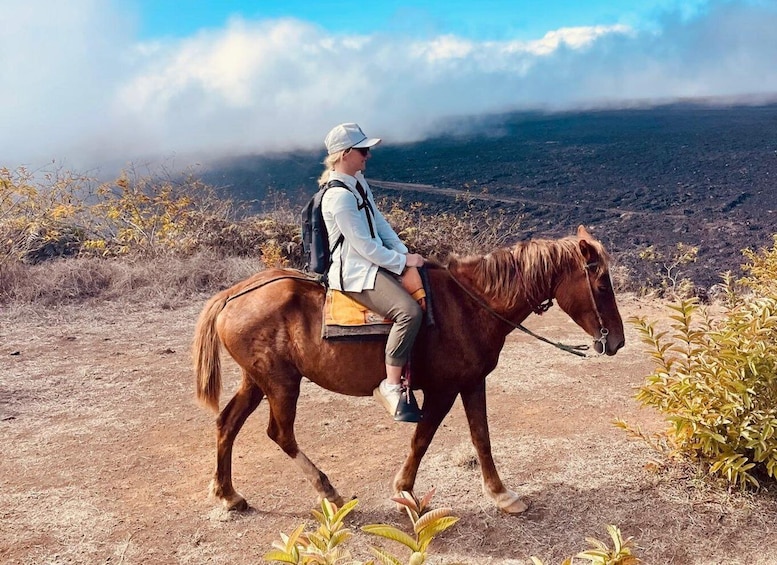 Picture 2 for Activity Galapagos horse riding the ridges of Sierra Negra Volcano