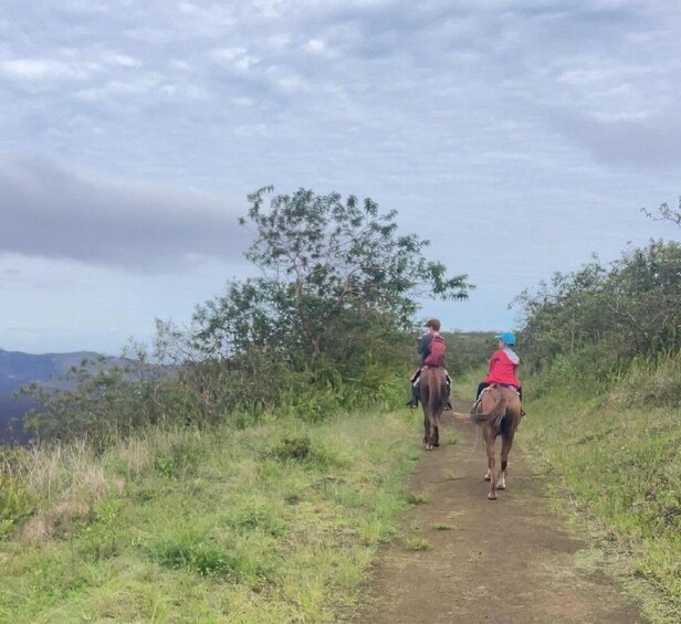 Picture 5 for Activity Galapagos horse riding the ridges of Sierra Negra Volcano