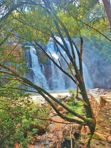 Picture 5 for Activity Morazan: Between mountains and waterfalls