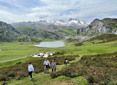 From Gijón or Oviedo: Covadonga Lakes & Sanctuary and Cangas