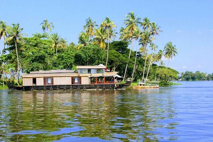 Aleppey- Houseboat backwater excursion d’une journée avec déjeuner