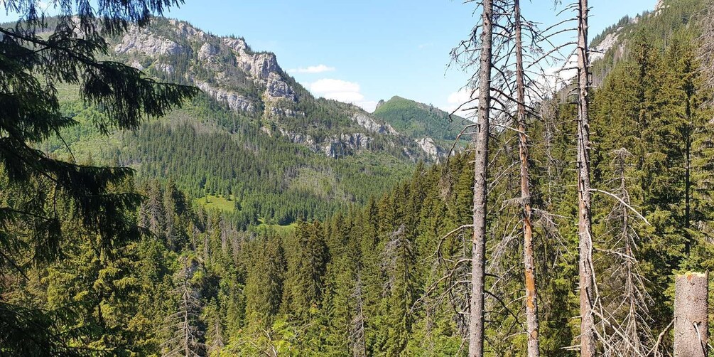 Picture 19 for Activity From Krakow: Hiking in the Tatra Mountains and Thermal baths