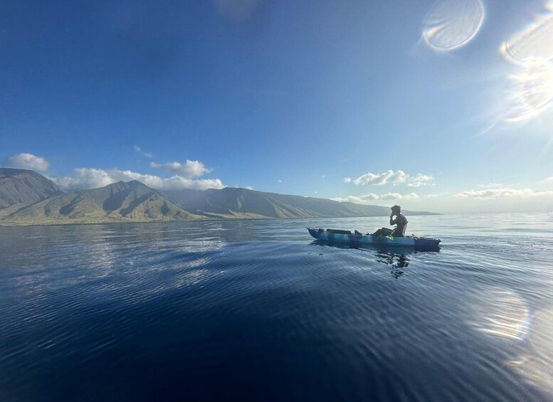 Picture 10 for Activity Kayak, Whale Watch And Snorkel At Turtle Town