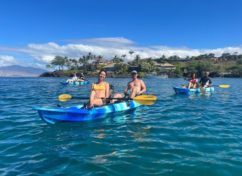 Picture 7 for Activity Kayak, Whale Watch And Snorkel At Turtle Town