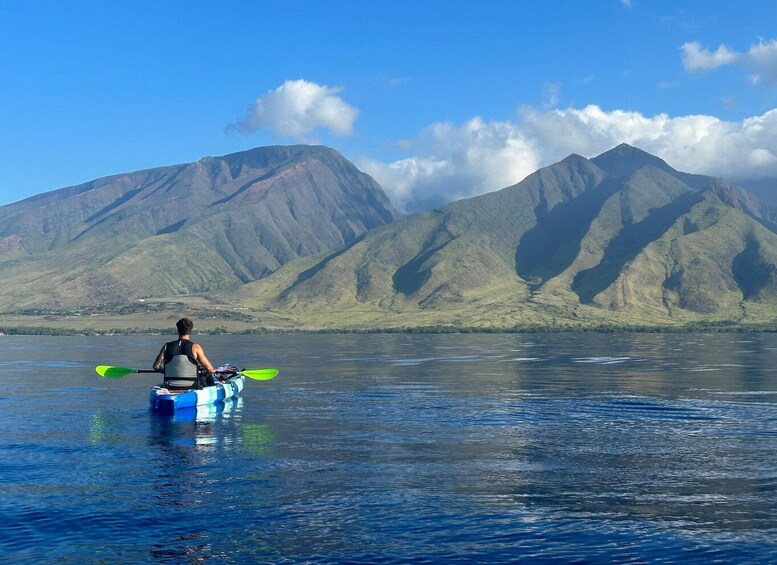 Picture 11 for Activity Kayak, Whale Watch And Snorkel At Turtle Town