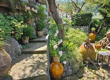 Sorrento Coast E-Bike Tour and Visit at Vinegar Cellar