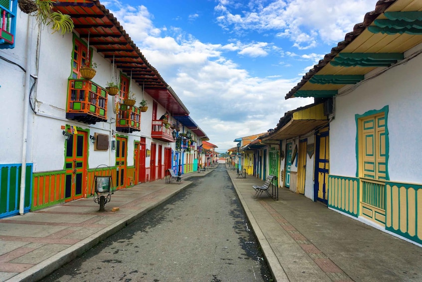 Picture 2 for Activity Cocora Valley: Salento & Private Horseback Riding Tour