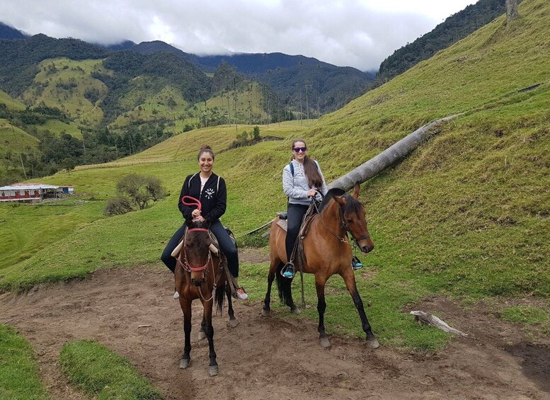 Picture 3 for Activity Cocora Valley: Salento & Private Horseback Riding Tour