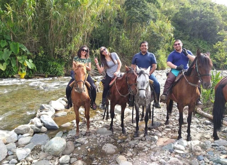 Picture 4 for Activity Cocora Valley: Salento & Private Horseback Riding Tour