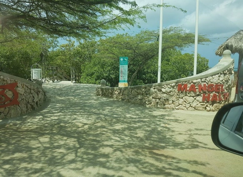 Picture 7 for Activity Aruba: Clear-Bottom Mangrove Forest Kayak Boat Tour