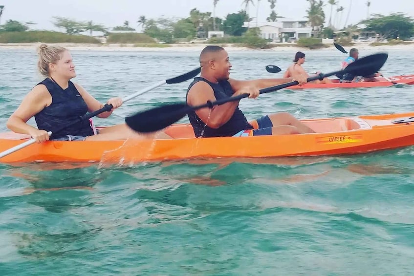 Picture 6 for Activity Aruba: Clear-Bottom Mangrove Forest Kayak Boat Tour