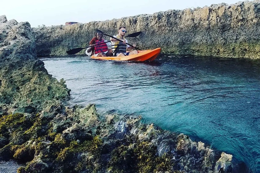 Picture 5 for Activity Aruba: Clear-Bottom Mangrove Forest Kayak Boat Tour