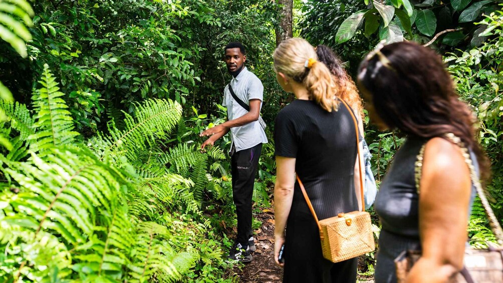 Picture 18 for Activity Zanzibar: Tour of Jozani Forest and the Rock Restaurant