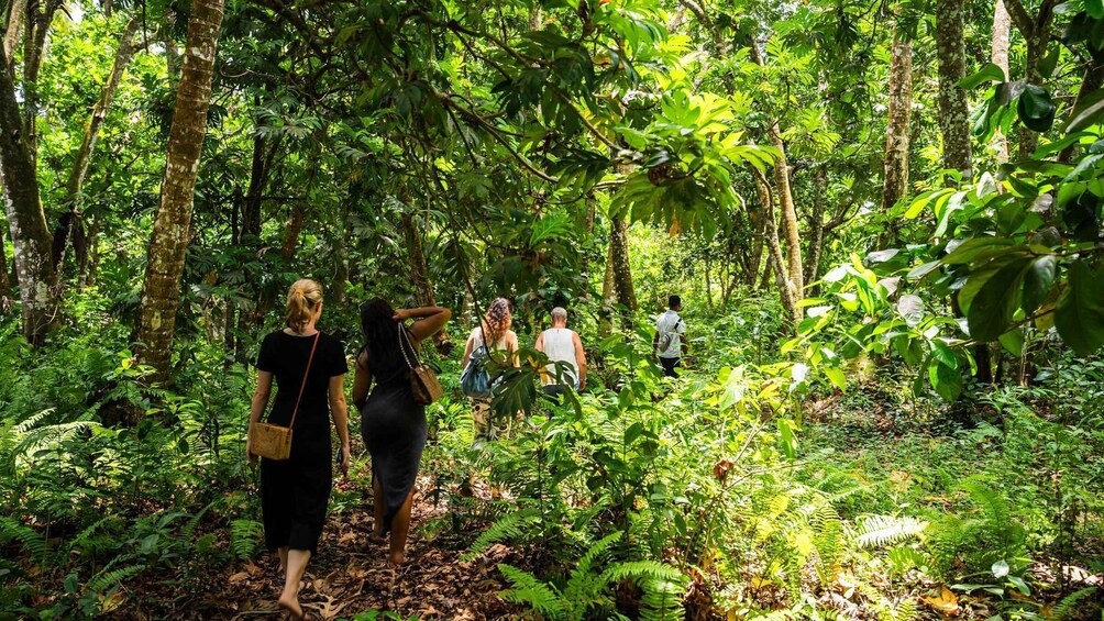 Picture 22 for Activity Zanzibar: Tour of Jozani Forest and the Rock Restaurant