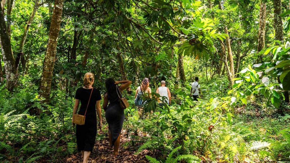 Picture 22 for Activity Zanzibar: Tour of Jozani Forest and the Rock Restaurant