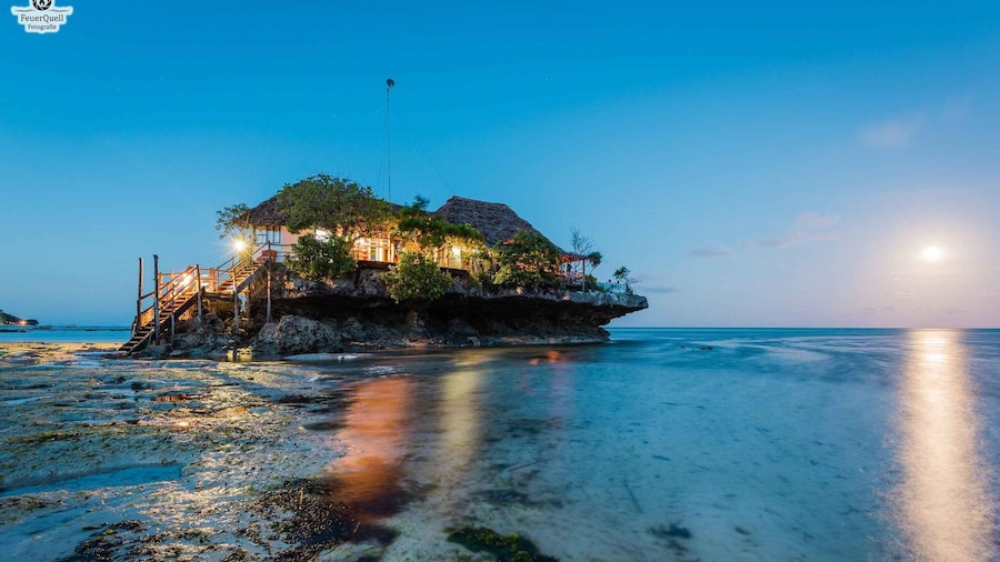 Zanzibar: Tour of Jozani Forest and the Rock Restaurant