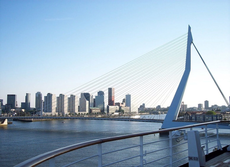 Picture 2 for Activity Best of Rotterdam: small-group walking tour