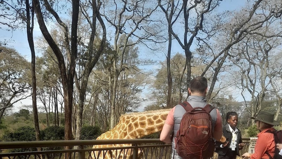 Elephant orphanage, Giraffe center, kobe beads tour